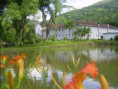 /album/galeria-de-fotos-igreja/noviciado-3-jpg/